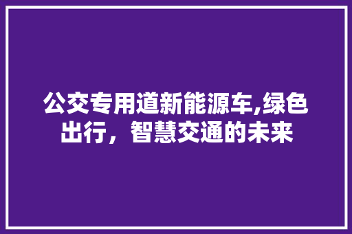 公交专用道新能源车,绿色出行，智慧交通的未来