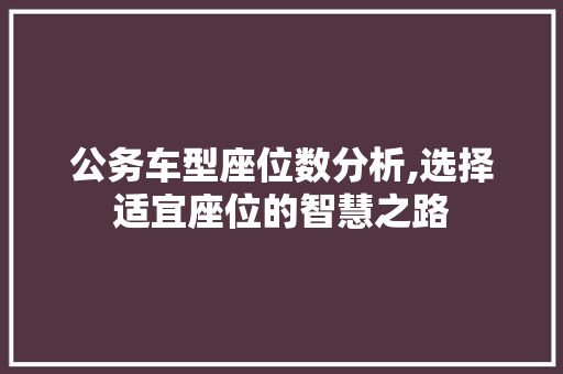 公务车型座位数分析,选择适宜座位的智慧之路