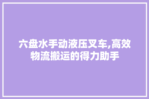 六盘水手动液压叉车,高效物流搬运的得力助手