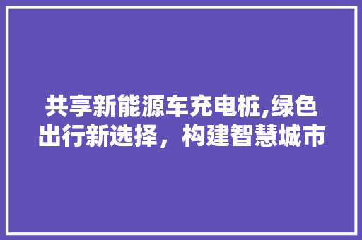 共享新能源车充电桩,绿色出行新选择，构建智慧城市新生态