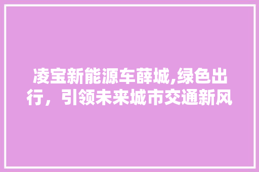 凌宝新能源车薛城,绿色出行，引领未来城市交通新风尚