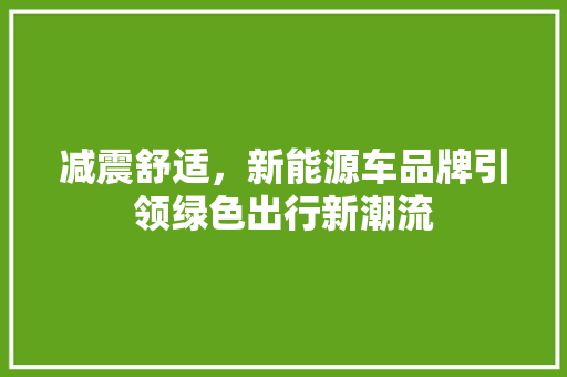 减震舒适，新能源车品牌引领绿色出行新潮流  第1张