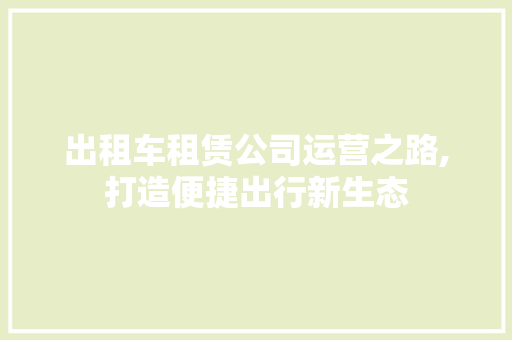 出租车租赁公司运营之路,打造便捷出行新生态