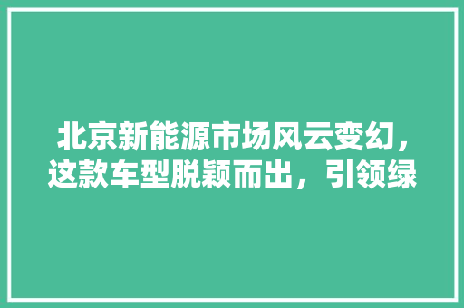 北京新能源市场风云变幻，这款车型脱颖而出，引领绿色出行新潮流