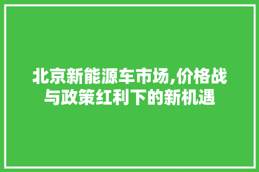 北京新能源车市场,价格战与政策红利下的新机遇