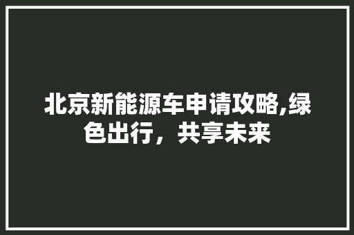 北京新能源车申请攻略,绿色出行，共享未来