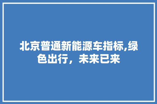 北京普通新能源车指标,绿色出行，未来已来