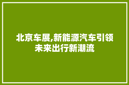 北京车展,新能源汽车引领未来出行新潮流