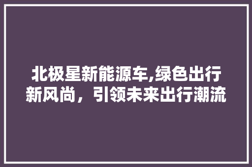 北极星新能源车,绿色出行新风尚，引领未来出行潮流