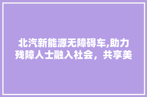 北汽新能源无障碍车,助力残障人士融入社会，共享美好生活