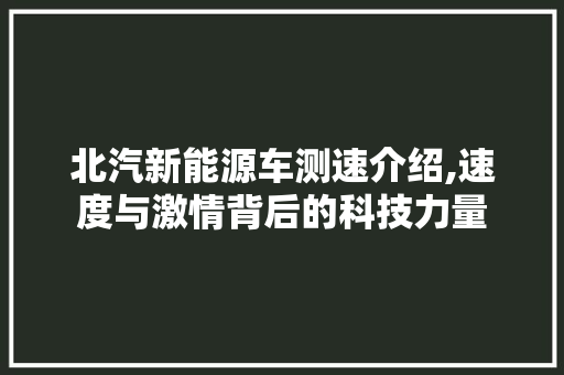 北汽新能源车测速介绍,速度与激情背后的科技力量