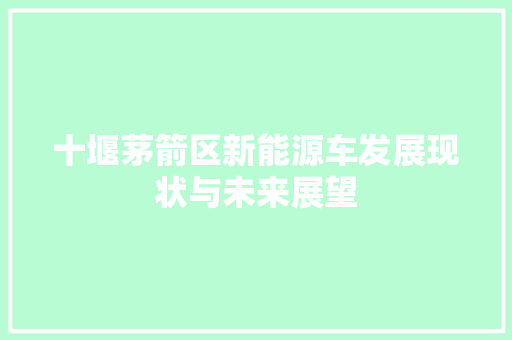 十堰茅箭区新能源车发展现状与未来展望  第1张