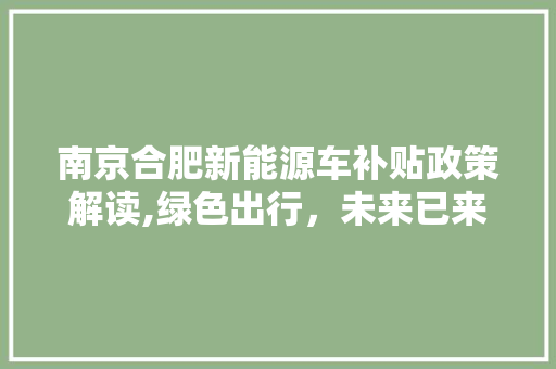 南京合肥新能源车补贴政策解读,绿色出行，未来已来  第1张