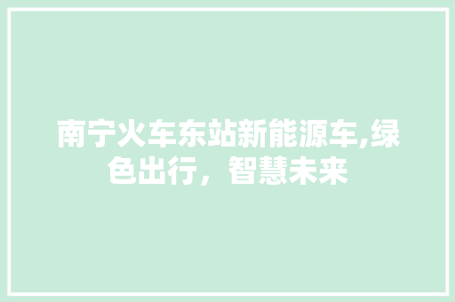 南宁火车东站新能源车,绿色出行，智慧未来  第1张