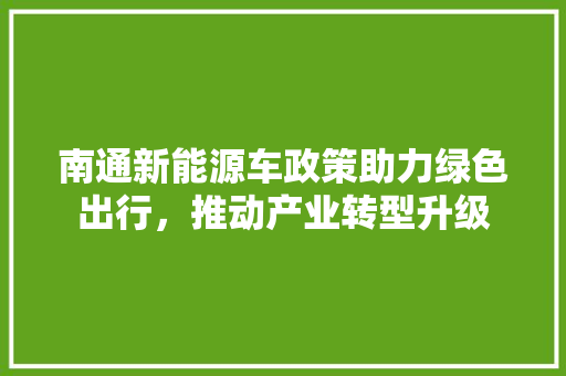 南通新能源车政策助力绿色出行，推动产业转型升级