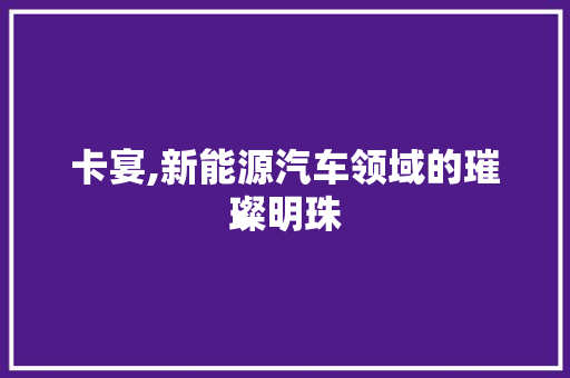 卡宴,新能源汽车领域的璀璨明珠  第1张