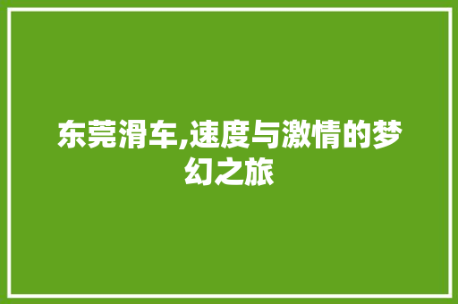 东莞滑车,速度与激情的梦幻之旅