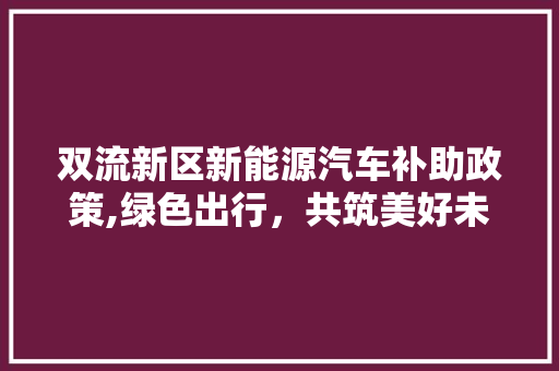 双流新区新能源汽车补助政策,绿色出行，共筑美好未来