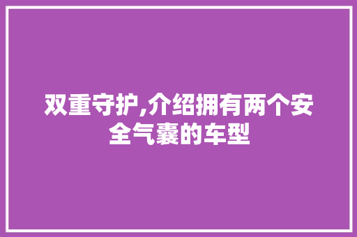 双重守护,介绍拥有两个安全气囊的车型