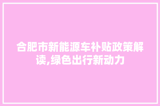 合肥市新能源车补贴政策解读,绿色出行新动力  第1张