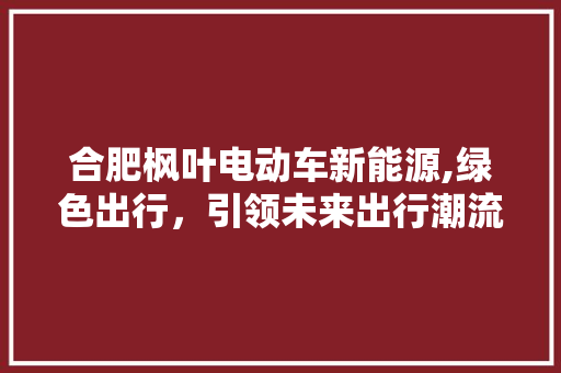 合肥枫叶电动车新能源,绿色出行，引领未来出行潮流  第1张