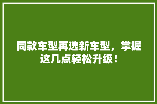 同款车型再选新车型，掌握这几点轻松升级！  第1张