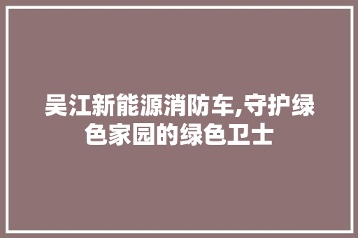 吴江新能源消防车,守护绿色家园的绿色卫士