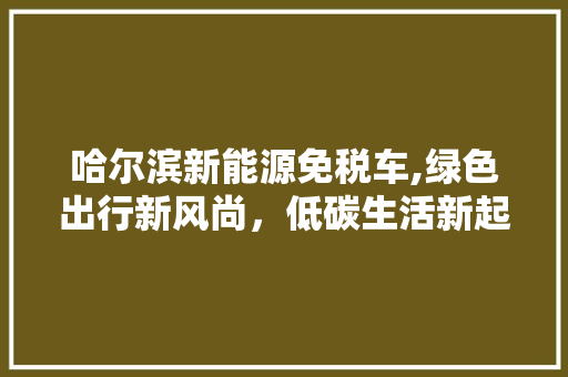 哈尔滨新能源免税车,绿色出行新风尚，低碳生活新起点  第1张