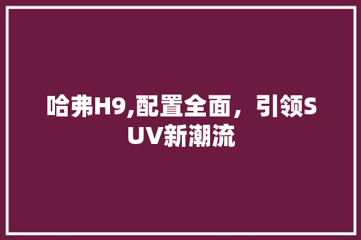 哈弗H9,配置全面，引领SUV新潮流  第1张