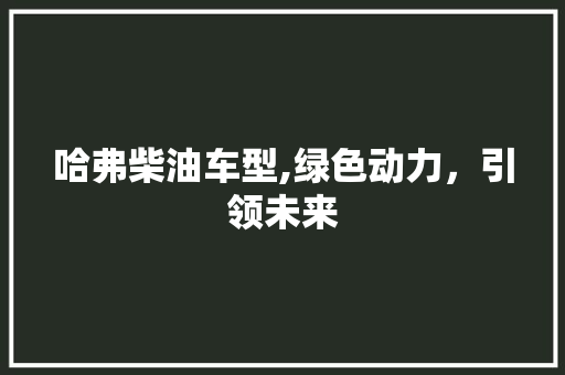 哈弗柴油车型,绿色动力，引领未来