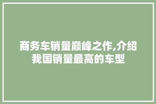 商务车销量巅峰之作,介绍我国销量最高的车型