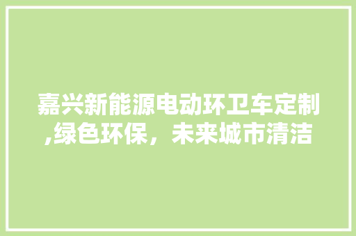 嘉兴新能源电动环卫车定制,绿色环保，未来城市清洁新选择