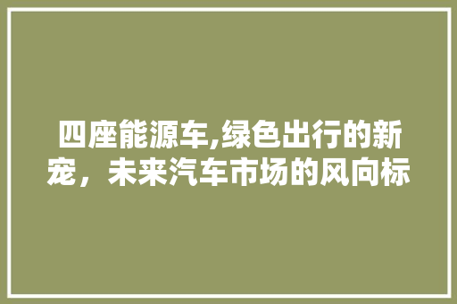 四座能源车,绿色出行的新宠，未来汽车市场的风向标