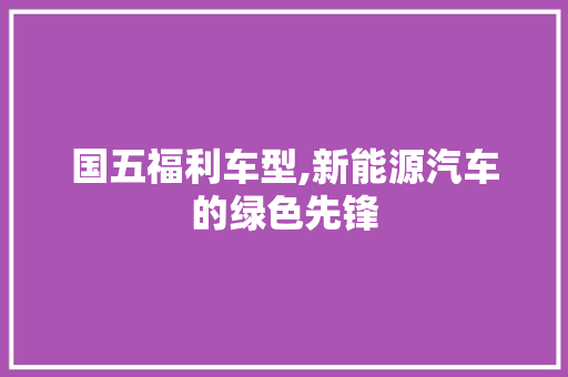 国五福利车型,新能源汽车的绿色先锋  第1张