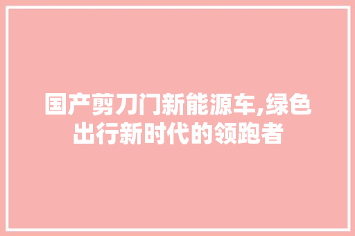 国产剪刀门新能源车,绿色出行新时代的领跑者  第1张