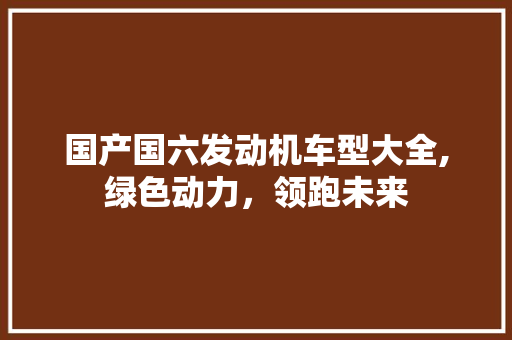 国产国六发动机车型大全,绿色动力，领跑未来