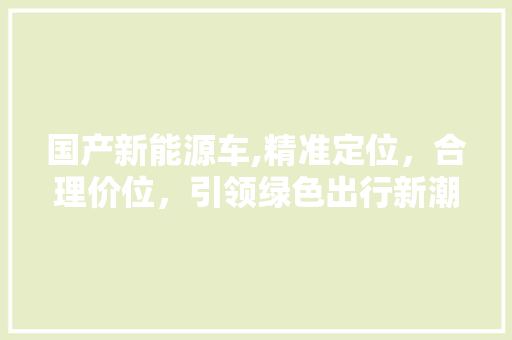 国产新能源车,精准定位，合理价位，引领绿色出行新潮流