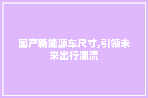 国产新能源车尺寸,引领未来出行潮流