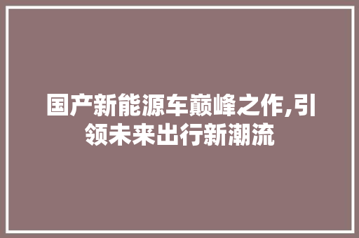 国产新能源车巅峰之作,引领未来出行新潮流