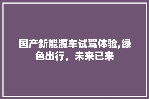 国产新能源车试驾体验,绿色出行，未来已来  第1张