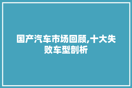 国产汽车市场回顾,十大失败车型剖析  第1张