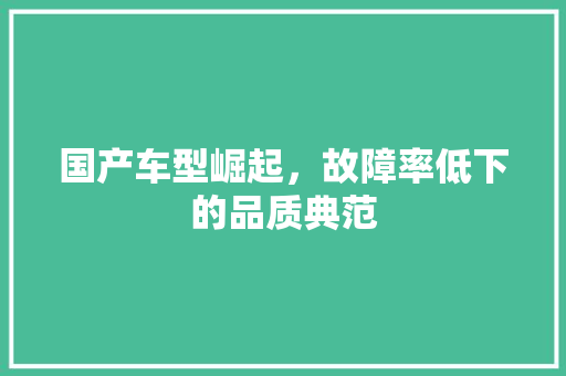 国产车型崛起，故障率低下的品质典范