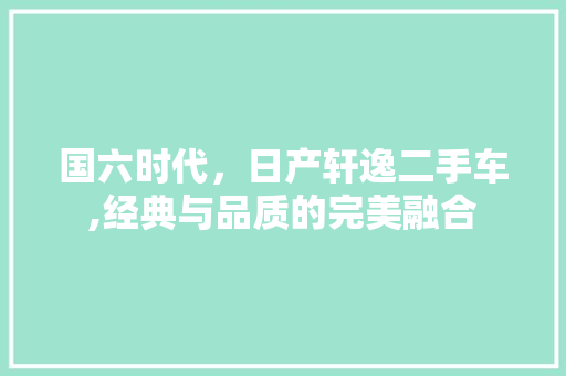 国六时代，日产轩逸二手车,经典与品质的完美融合