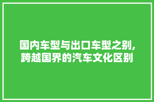 国内车型与出口车型之别,跨越国界的汽车文化区别