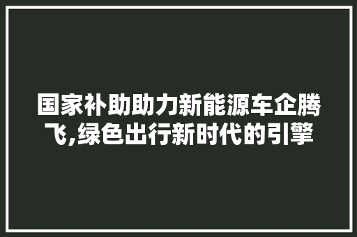 国家补助助力新能源车企腾飞,绿色出行新时代的引擎