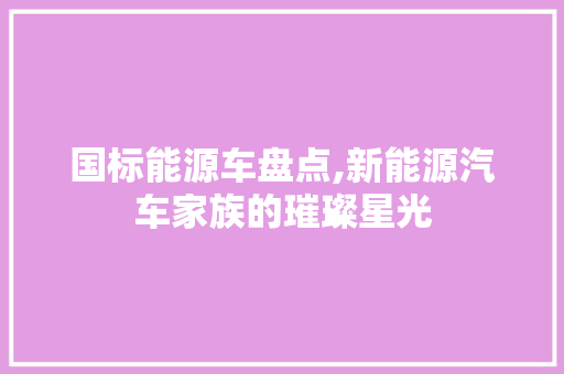 国标能源车盘点,新能源汽车家族的璀璨星光  第1张