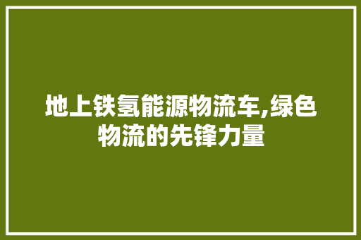 地上铁氢能源物流车,绿色物流的先锋力量