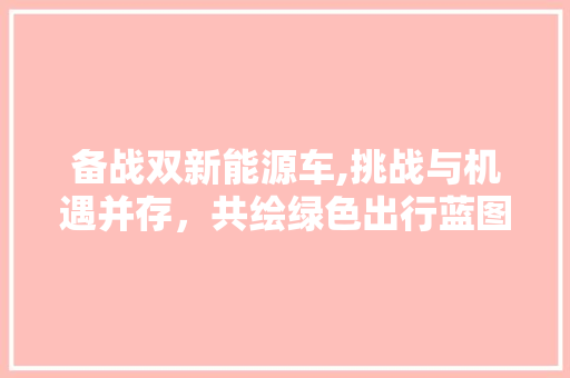 备战双新能源车,挑战与机遇并存，共绘绿色出行蓝图  第1张