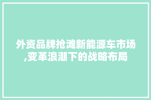 外资品牌抢滩新能源车市场,变革浪潮下的战略布局