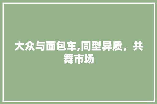 大众与面包车,同型异质，共舞市场